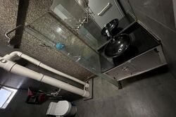 Blk 556 Jurong West Street 42 (Jurong West), HDB Executive #562594811